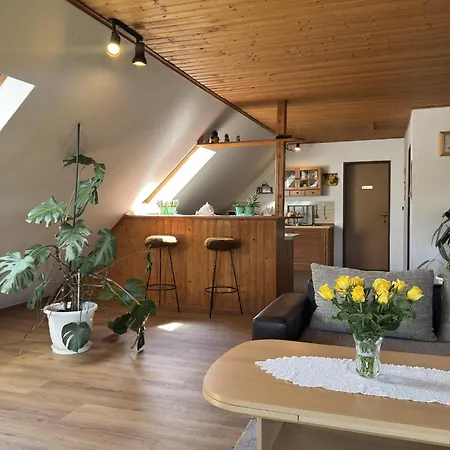 In Moorhusen アパート Südbrookmerland